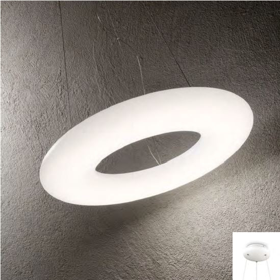 POLO SP D60 (ULTIMI DISPONIBILI - N°1)