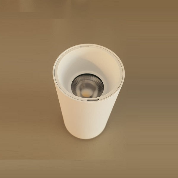 EMILIA PFR 9W 4000K OPTIC 38 GRADI - BIANCO RIFLECTOR BIANCO
DRIVER INTEGRATO