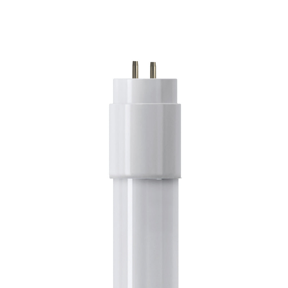 Shot Tubo LED Vetro T8 G13 Shot Lampadine e moduli led