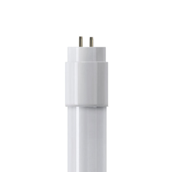 Shot Tubo LED Vetro T8 SE G13 Shot Lampadine e moduli led